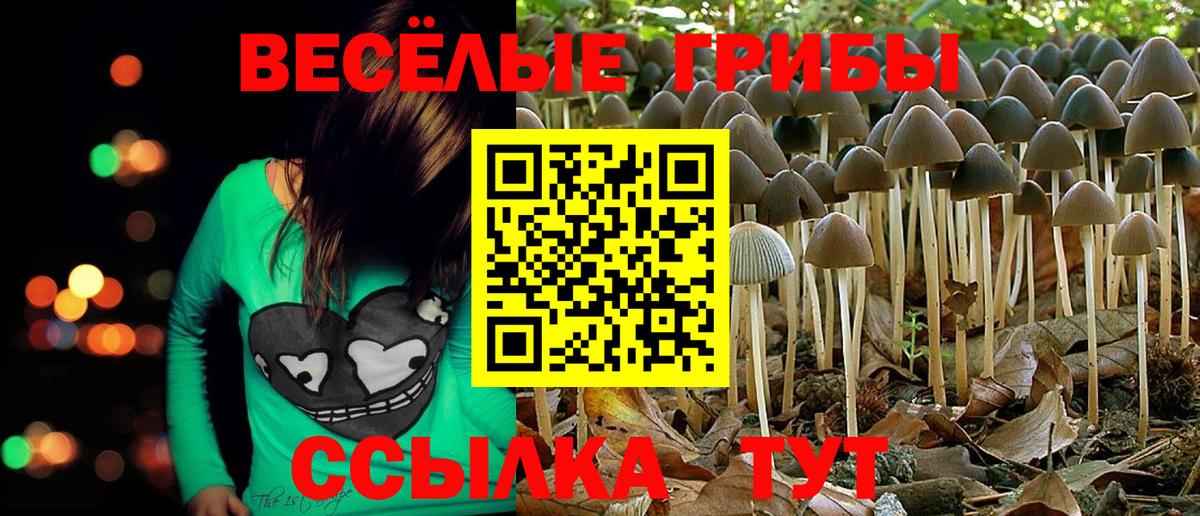 Галлюциногенные грибы мухоморы Георгиевск