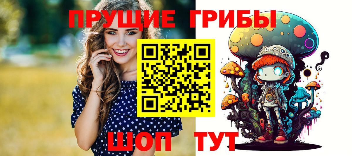 Псилоцибиновые грибы Cubensis  где купить наркотик  Георгиевск  Вход с VPN 