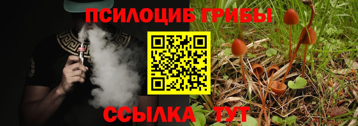 Codein Георгиевск